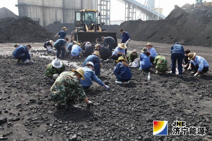 义桥煤矿组织机关人员“捡矸石”保煤质