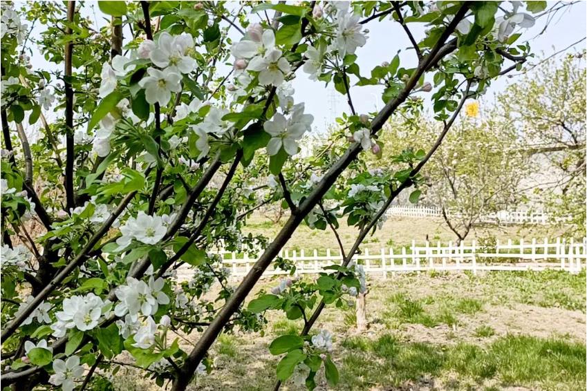 1680924278957538.jpg 微信截图_20230408112231.jpg