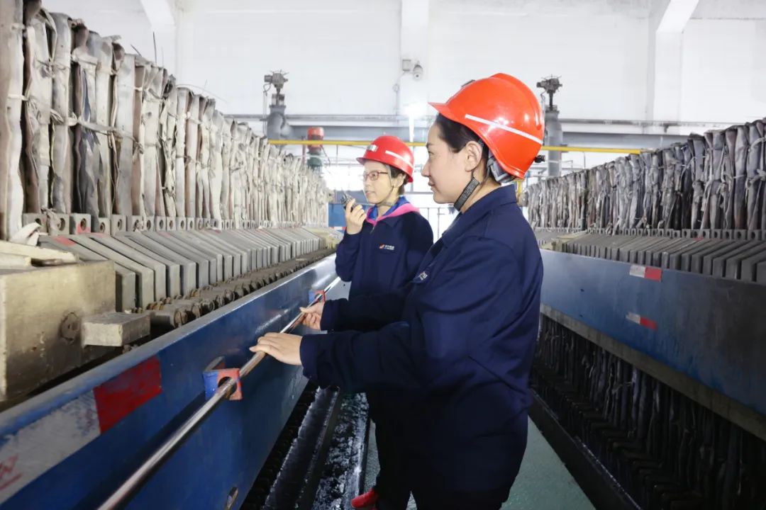 1734174296132950.jpg 0001.jpg