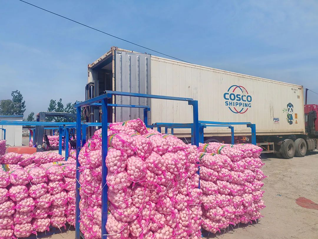 1746501061787266.jpg 03.jpg